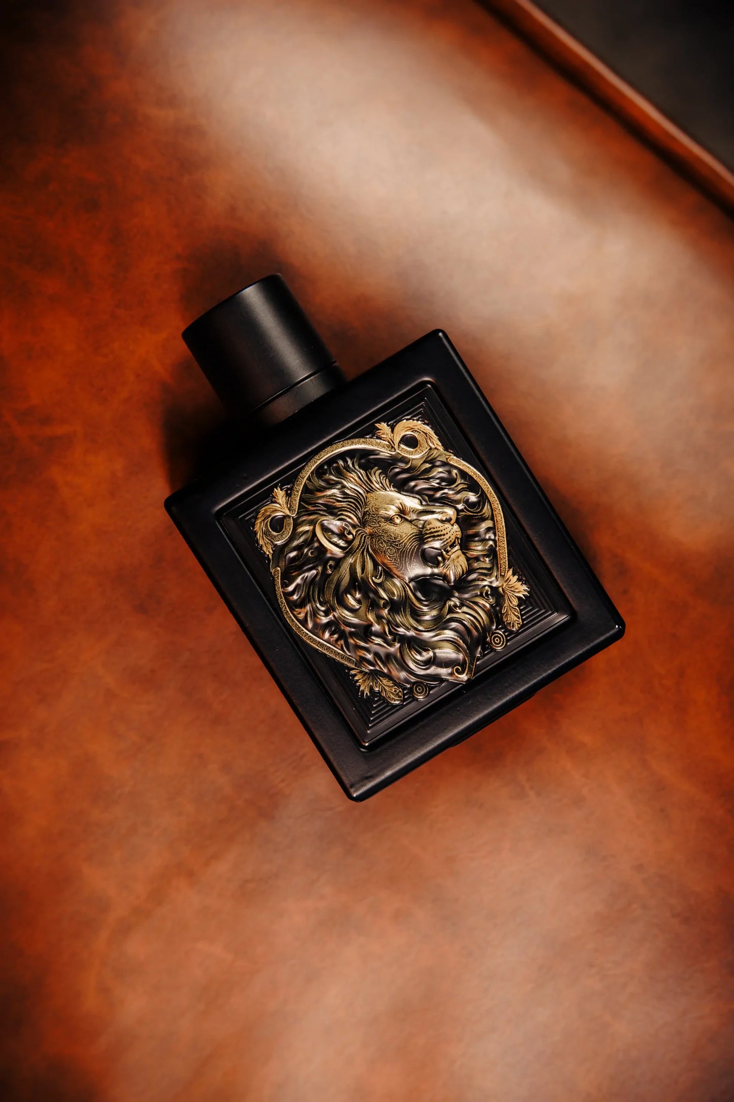 Lion Rayhaan - Masculino